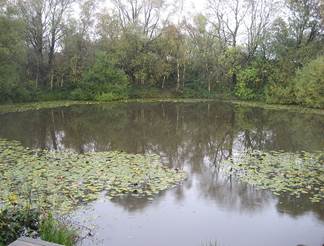 File:Lone Tree Crater 2009.jpg