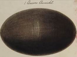 &icy;&zcy;&ocy;&bcy;&rcy;&acy;&zhcy;&iecy;&ncy;&icy;&iecy;